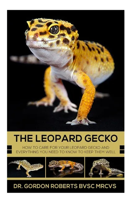 The Leopard Gecko: How to care for your Leopard Gecko and everything you need to know to keep them well. - Paperback