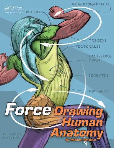 Force: Drawing Human Anatomy - Paperback