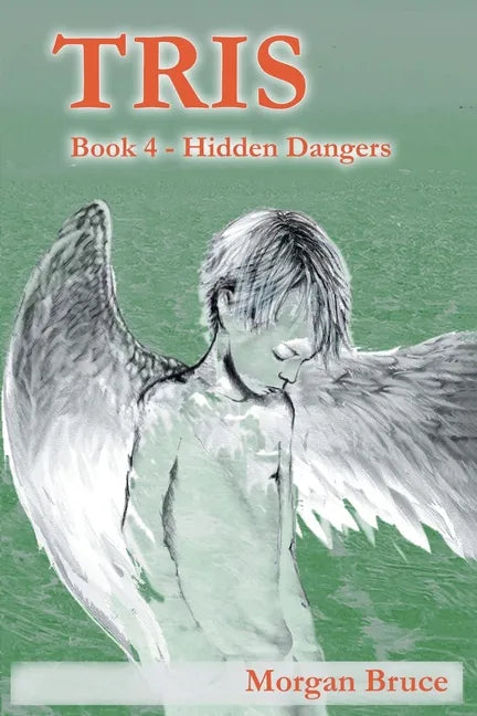 Tris 4: Hidden Dangers - Paperback