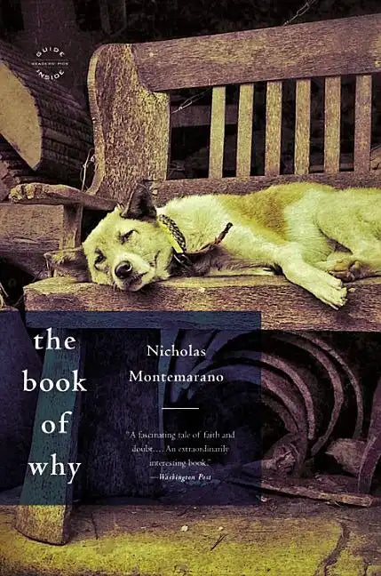 The Book of Why - Paperback
