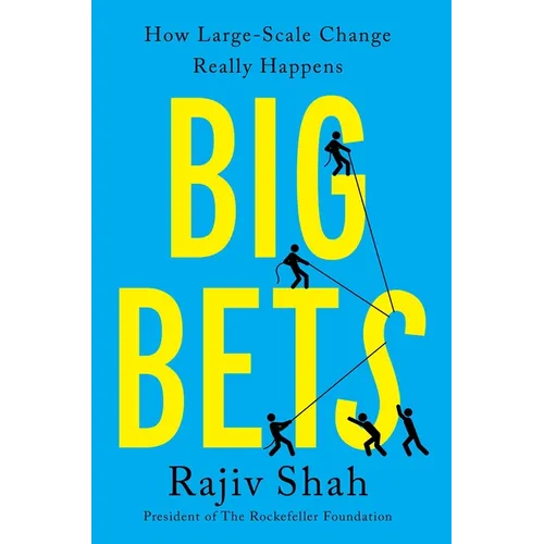 Big Bets: How Large-Scale Change Really Happens - Hardcover