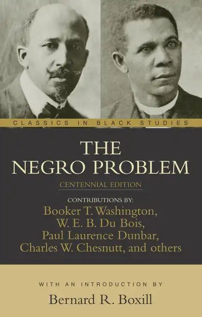 The Negro Problem - Paperback