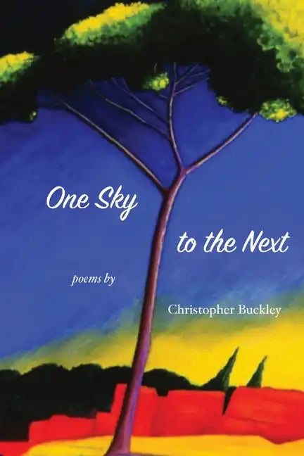 One Sky to the Next - Paperback