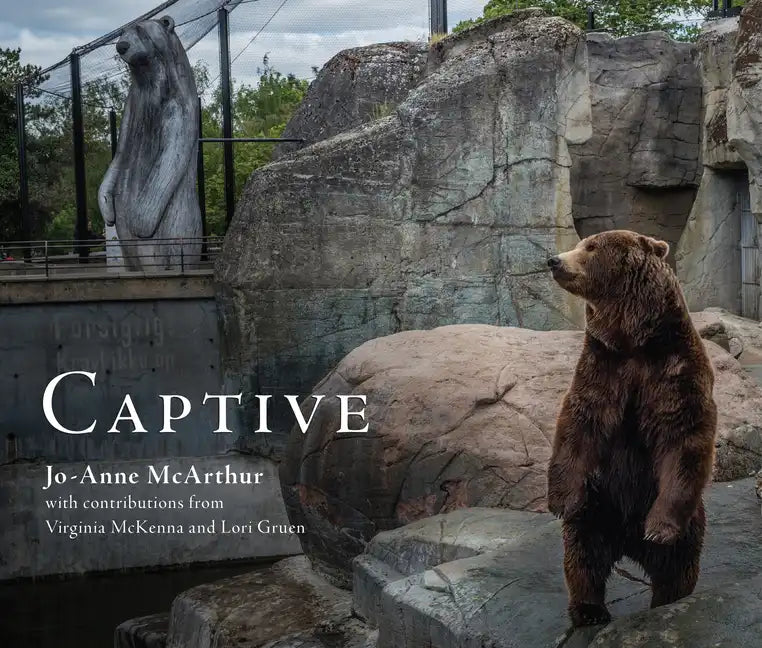 Captive - Paperback