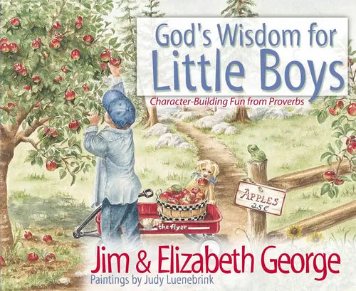 God's Wisdom for Little Boys: Character-Building Fun from Proverbs - Hardcover