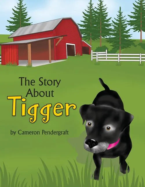 The Story About Tigger - Paperback