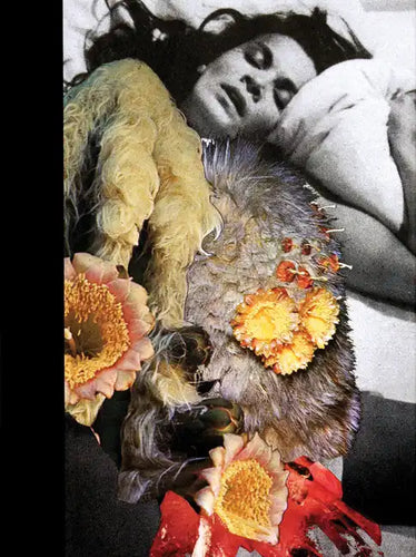 Jonah Freeman & Justin Lowe: Black Acid Co-Op/Bright White Underground/Stray Light Grey/Artichoke Underground - Hardcover