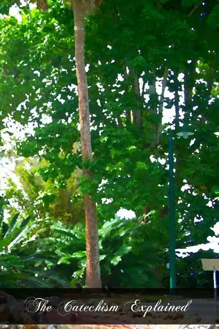 The Catechism Explained: An Exhaustive Exposition Of The Christian Religion - Paperback