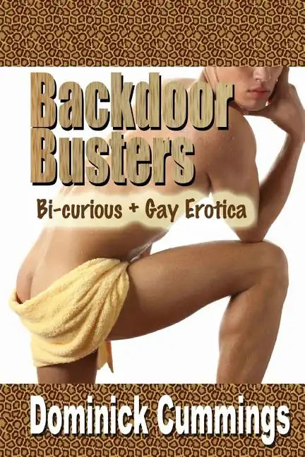 Backdoor Busters: Bi-Curious + Gay Erotica - Paperback