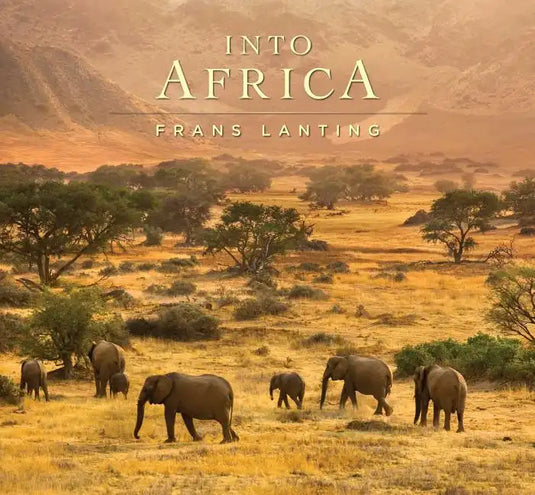 Into Africa - Hardcover