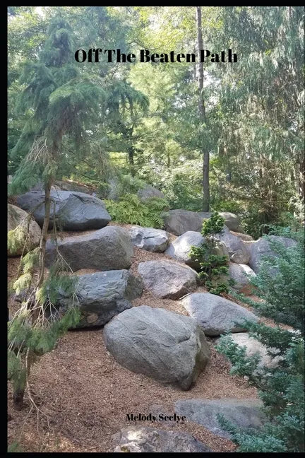 Off The Beaten Path: 4 year Blood Glucose Tracker - Paperback