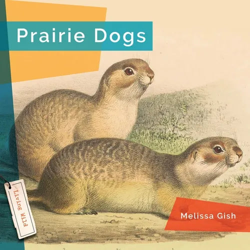 Prairie Dogs - Paperback