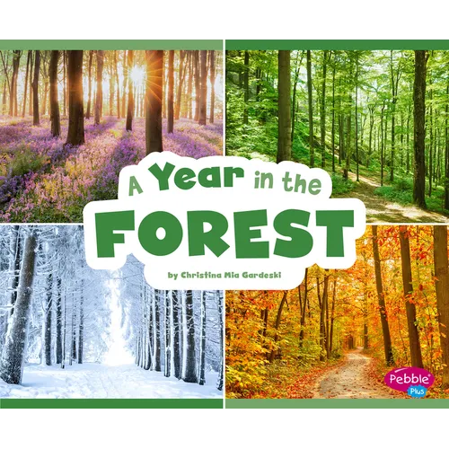 A Year in the Forest - Paperback