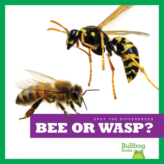 Bee or Wasp? - Paperback