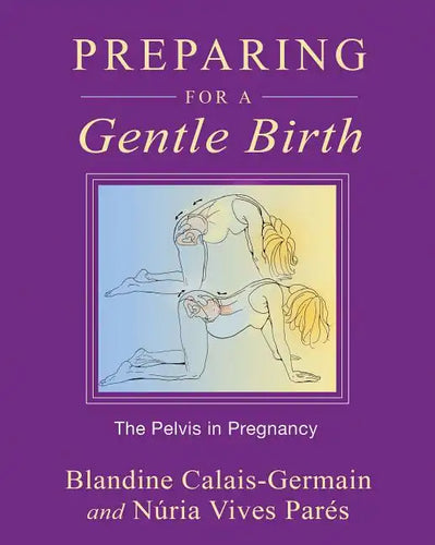 Preparing for a Gentle Birth: The Pelvis in Pregnancy - Paperback