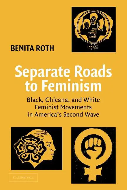 Separate Roads to Feminism: Black, Chicana, and White Feminist Movements in America's Second Wave - Paperback