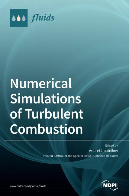 Numerical Simulations of Turbulent Combustion - Hardcover