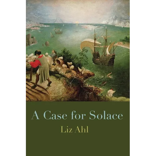 A Case for Solace - Paperback