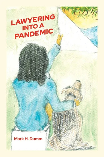 Lawyering Into A Pandemic - Paperback