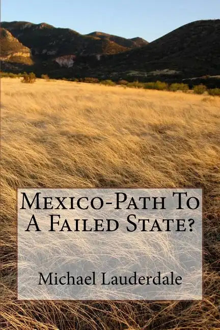 Mexico-Path To A Failed State? - Paperback