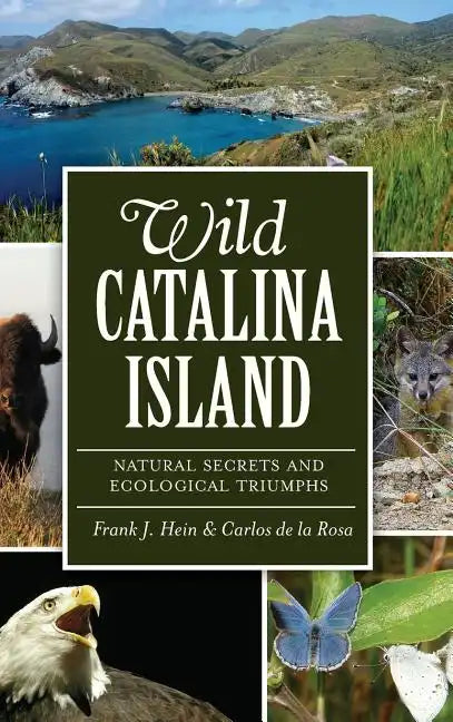 Wild Catalina Island: Natural Secrets and Ecological Triumphs - Hardcover