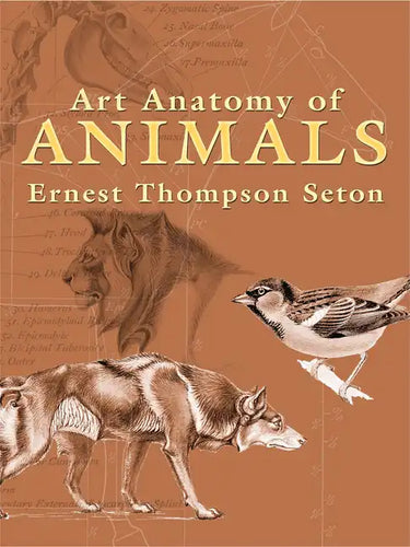 Art Anatomy of Animals - Paperback