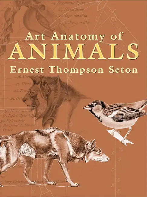 Art Anatomy of Animals - Paperback
