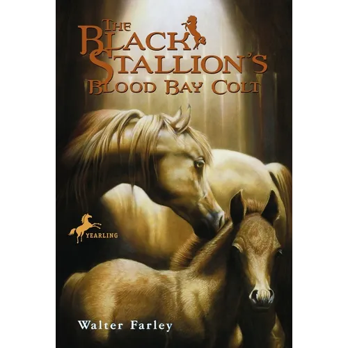 The Black Stallion's Blood Bay Colt: (Reissue) - Paperback