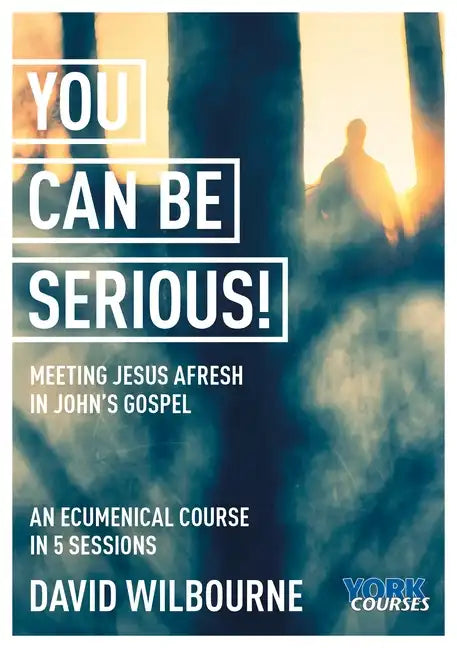 You Can Be Serious! Meeting Jesus Afresh in John's Gospel: York Courses - Paperback