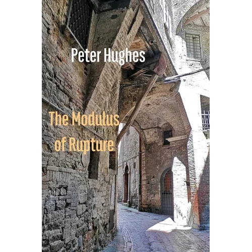 The Modulus of Rupture - Paperback