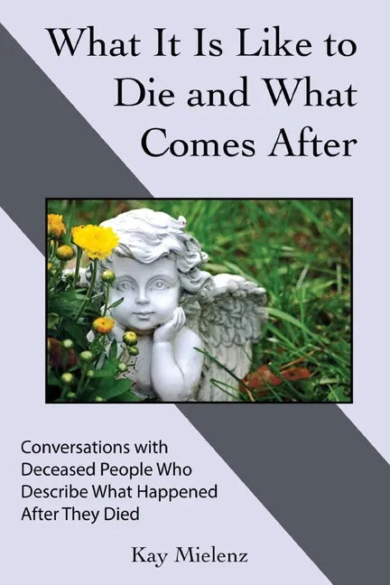 What It Is Like to Die and What Comes After: Conversations with Deceased People Who Describe What Happened After They Died - Paperback