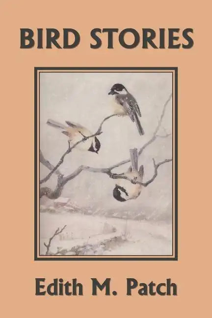 Bird Stories (Yesterday's Classics) - Paperback