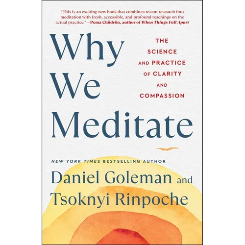 Why We Meditate: The Science and Practice of Clarity and Compassion - Paperback