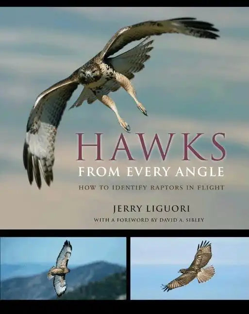 Hawks from Every Angle: How to Identify Raptors in Flight - Paperback