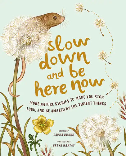 Slow Down and Be Here Now: More Nature Stories to Make You Stop, Look, and Be Amazed by the Tiniest Things - Hardcover