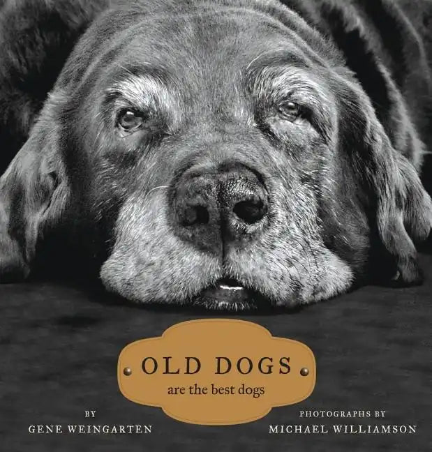 Old Dogs: Are the Best Dogs - Hardcover