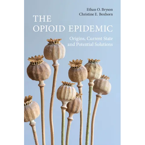 The Opioid Epidemic - Paperback