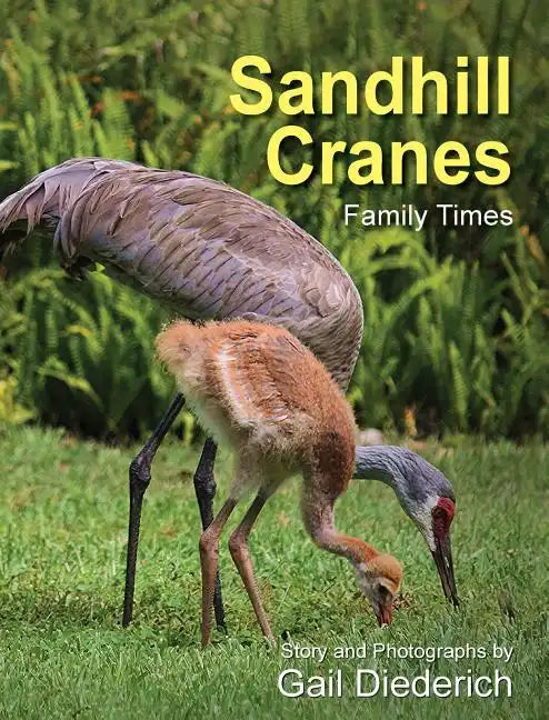 Sandhill Cranes, Family Times - Hardcover