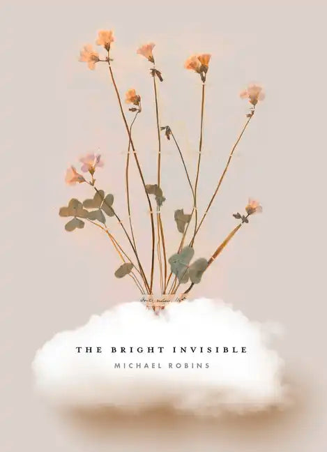 The Bright Invisible - Paperback