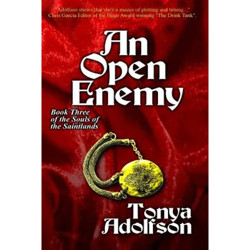 An Open Enemy - Paperback