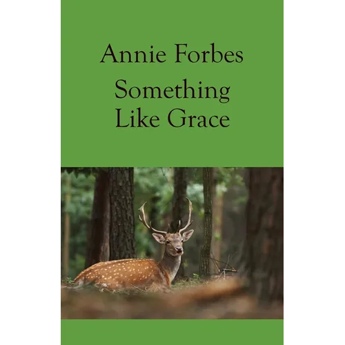 Something Like Grace - Paperback