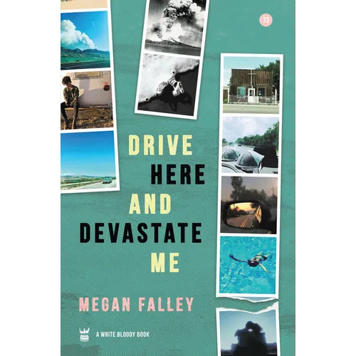 Drive Here and Devastate Me - Hardcover
