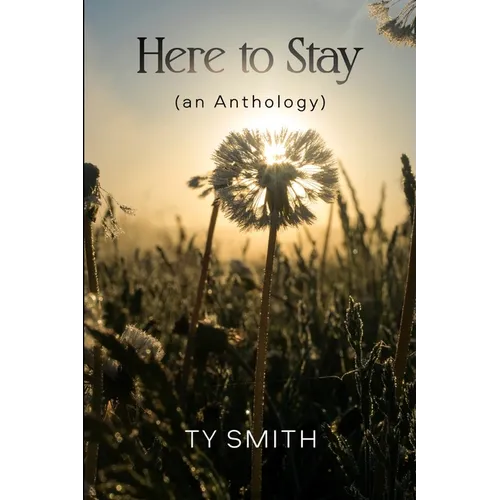 Here to Stay (an Anthology) - Paperback