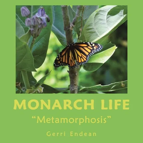 Monarch Life: 