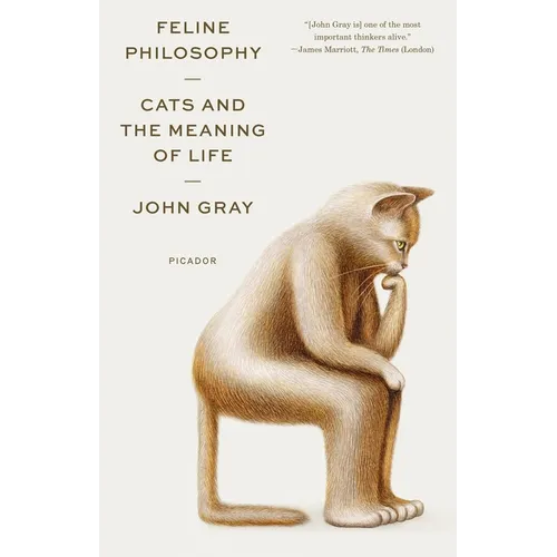 Feline Philosophy: Cats and the Meaning of Life - Paperback