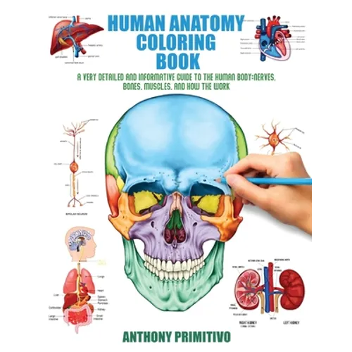 Human Anatomy Coloring Book: A Very Detailed and Informative Guide to the Human Body: Nerves, Bones, Muscles, and How to the Work - Paperback