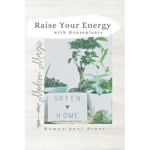 Raise Your Energy with House Plants