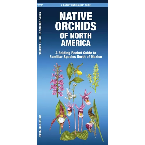 Native Orchids of North America: A Folding Pocket Guide to Familiar Species North of Mexico