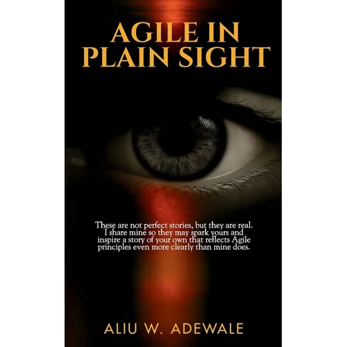 Agile In Plain Sight: These are not perfect stories, but they are real. I share mine so they may spark yours and inspire a story of your own that refl - Paperback