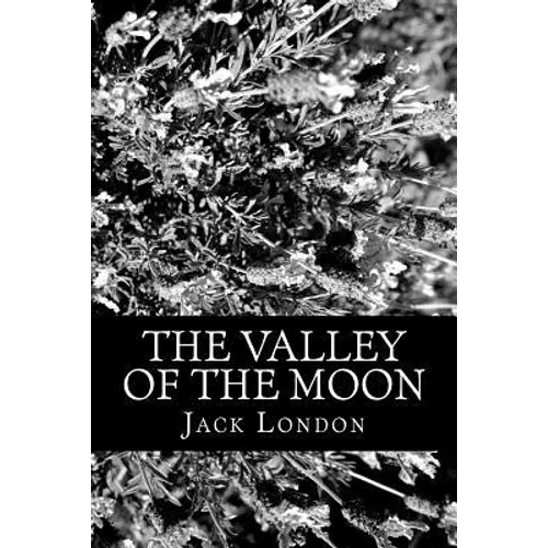 The Valley of the Moon - Paperback